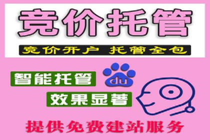 百度竞价广告运营全解析：成功案例揭秘